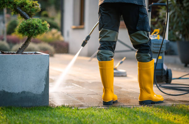 Best Exterior Home Cleaning  in Mattoon, IL